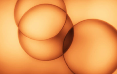 Over 30 years research and scientific experience in biophysics